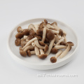 Frozen Fresh Cut Beech Shroom-100G